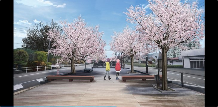 Night cherry blossom walk on Sakura Hot Spring Street